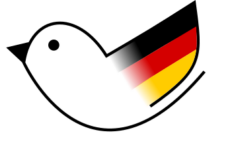 speak german with anna logo vogel